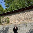 1349 | 아워코모스 | comos 1349 시스루 레이어드 블라우스, 하객룩 구매 후기