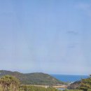 송라 아쿠아 이미지