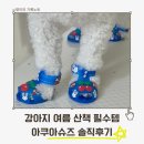 올치 | 강아지 여름 산책 필수템! 강아지 여름신발 올치 깡총체리 아쿠아슈즈 솔직후기