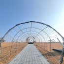 영덕 장사해변/삼사해상산책로/강구항/해파랑공원/나비산생선찌개/대진해수욕장까지(사진추가 수정) 이미지