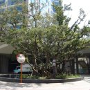 스카이 토탈 휘트니스 센타 이미지