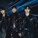 하이라이트