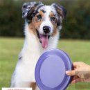 행운셀프 이미지