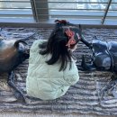 소룡농장 이미지