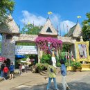 화석농장 이미지