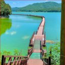 중장년층 사이에서 인기있는 1km수상 데크길" 다녀오면 반하게 되는 힐링 명소 이미지