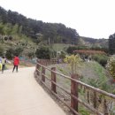 공곶이가는길 이미지