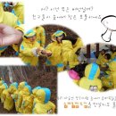 원주시청 어린이집 이미지