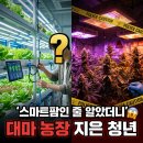 공범농장 | 대마 재배 청년농업인 적발, 정부지원금으로 스마트팜 위장