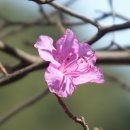 사상근린공원 이미지