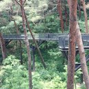 안면도자연휴양림 이미지