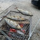 율곡가스 | 근교 단풍 보기 좋았던 캠핑장: 경기도 파주 율곡 수목원 부근 &#39;율곡캠핑장&#39; B-10 사이트 2박 3일 후기