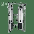 얼라이브 짐 이미지