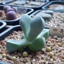 마옥환경 이미지