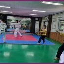 태권도 골든로드 이미지