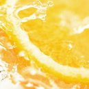 다이어트존 이미지