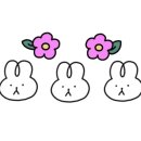 담백한 앞산 본점 이미지