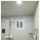 더 코지 이미지