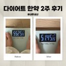 동인당한의원 | 김해 다이어트 한약 내돈내산 2주 후기