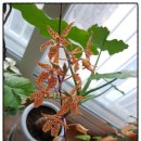 우리들자동차공업사 이미지