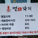 뻘속낙지 이미지