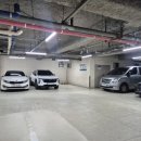 연서2호 이미지