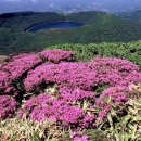 일본 국립공원 지정 제1호...(한국악) 큐슈 투어 및 카라쿠니다케 산행 이미지