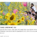 숲속꿈의유치원 이미지