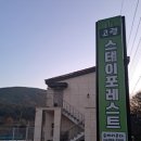 고령스테이포레스트 네이버블로그