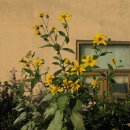 기쁨소아청소년과의원 이미지