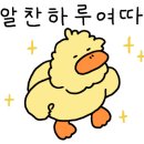 언양 복돼지 이미지