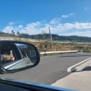 신기한면 이미지