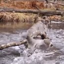 순플레이스 이미지