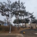 대장골어린이공원 방범용CCTV 이미지