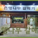 은행나무 갈매기 이미지