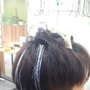 컬러디멘션 그린점