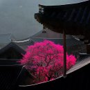 화엄사로 이미지