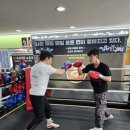 해성미트 이미지