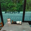 이우철 한방 누룽지 삼계탕(경산점) 이미지