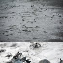 (주)남도밥상 이미지