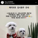 Hey Bro(헤이브로) 이미지