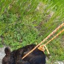 권순철농장 이미지