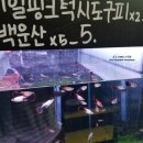 아쿠아리스모
