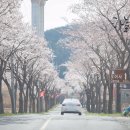 콩샌포항점 이미지