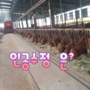 게바농장 이미지