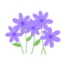 삼성동-6 이미지