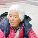 번개시장 이미지