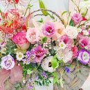 구지로L 이미지