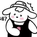 엑스엑스커피메이커고투몰