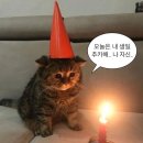 버터하프베이크샵 이미지